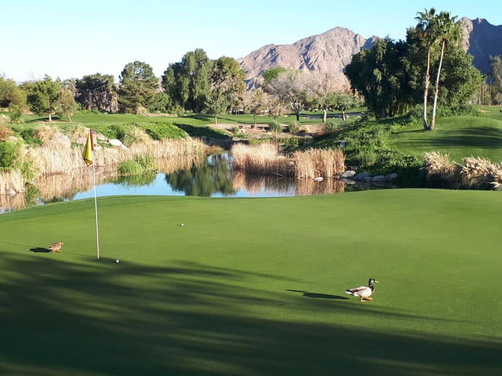 Celebrity Course - Indian Wells Golf Resort